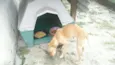 PACO
