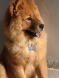 Marley