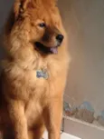 Marley