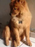Marley