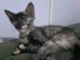 Malhada