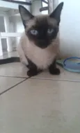 Nina