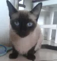 Nina