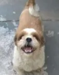 Nick