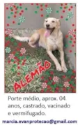 Alemão