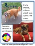 Romeu