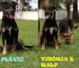Ralf, Vitória e Flávio