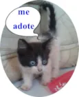 sem nome 