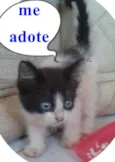 sem nome 