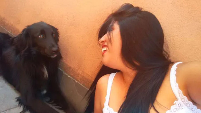 Cachorro raça Vira lata idade 2 anos nome Gogo