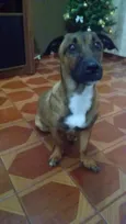 NONI