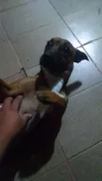 NONI