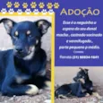 Neguinho