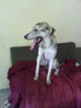 Marley