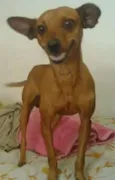 Lorenzo