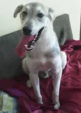 Marley