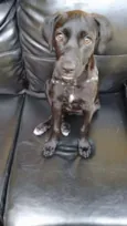 Nina