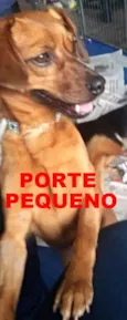 Loren