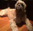 Lili