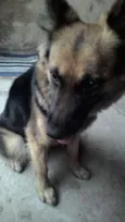 Mily