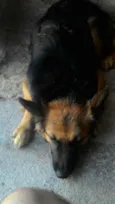 Mily
