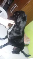 tita