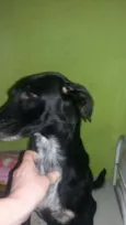 tita