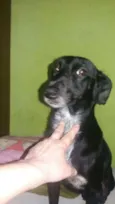 tita