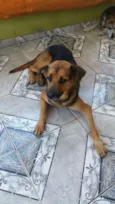 Romeu