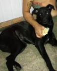 Carlos