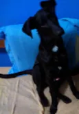 Carlos