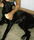 Carlos