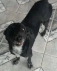 tita