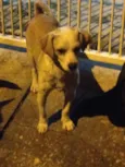 PARA DOAÇÃO 