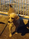 PARA DOAÇÃO 