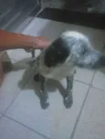 Fiona