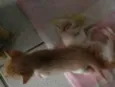 Nãoo tem nome