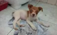 Théo