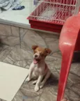 Théo