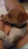 Théo