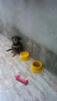 Doug