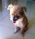 Zé