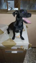 Fred