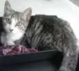 Kit