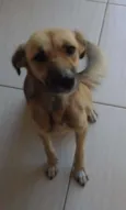 Chiquinha