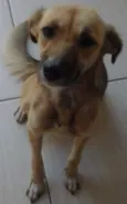 Chiquinha