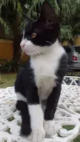 Felix