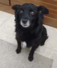 Luigi