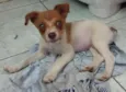 Théo