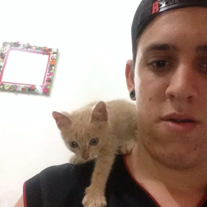 Gato ra a Não sei idade Abaixo de 2 meses nome Minhoquinha